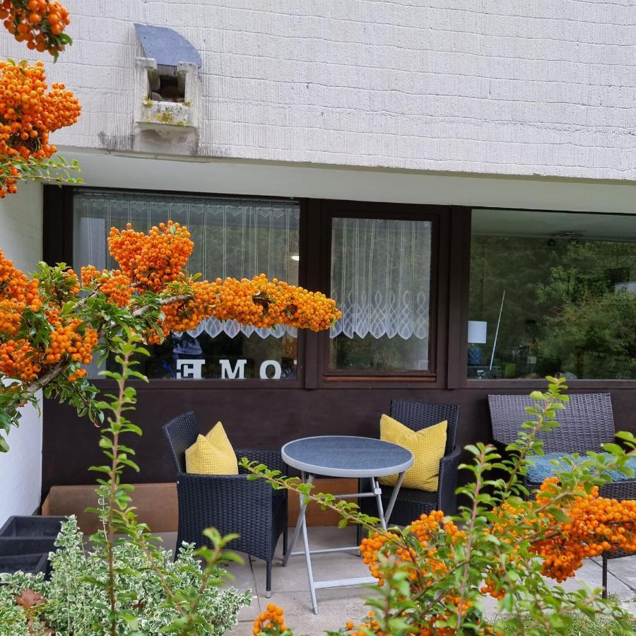 Apartment Gemuetliche Gartenwohnung Ideal Mit Hund Wolfsburg